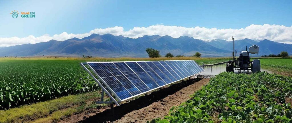 Solaire et Agrivoltaïsme : Une Nouvelle Révolution pour les Agriculteurs Français